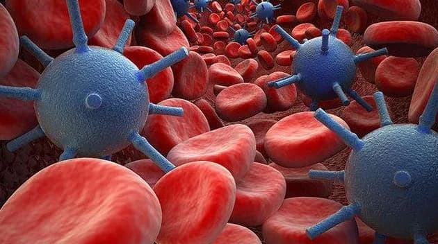 Volo radente sull'apocalisse: l'uomo e il virus