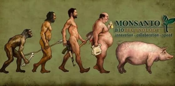 Un tribunale internazionale per la Monsanto