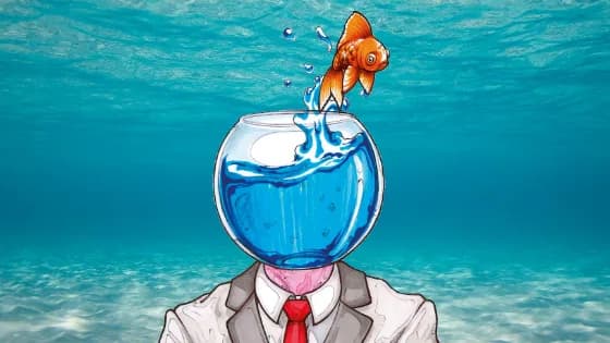O nuoti o affoghi: Jess Walter e «Viviamo in acqua»