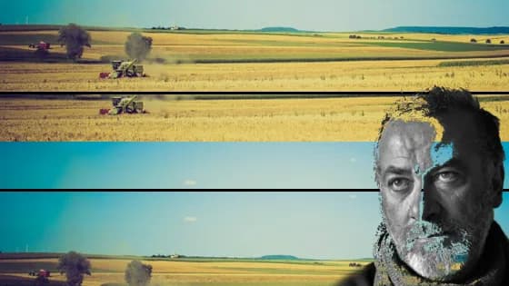 Cos'è la paesologia? Se Franco Arminio è un albero