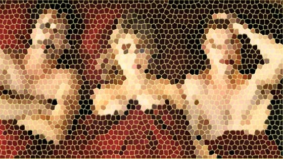 «Dormire da svegli e spaghetti a colazione» di Raffaele Mozzillo