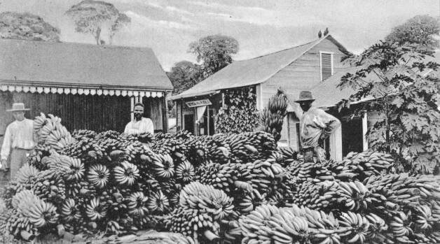 Views of Central American Countries, 1902-1911 (RARE 972#1, Bananas